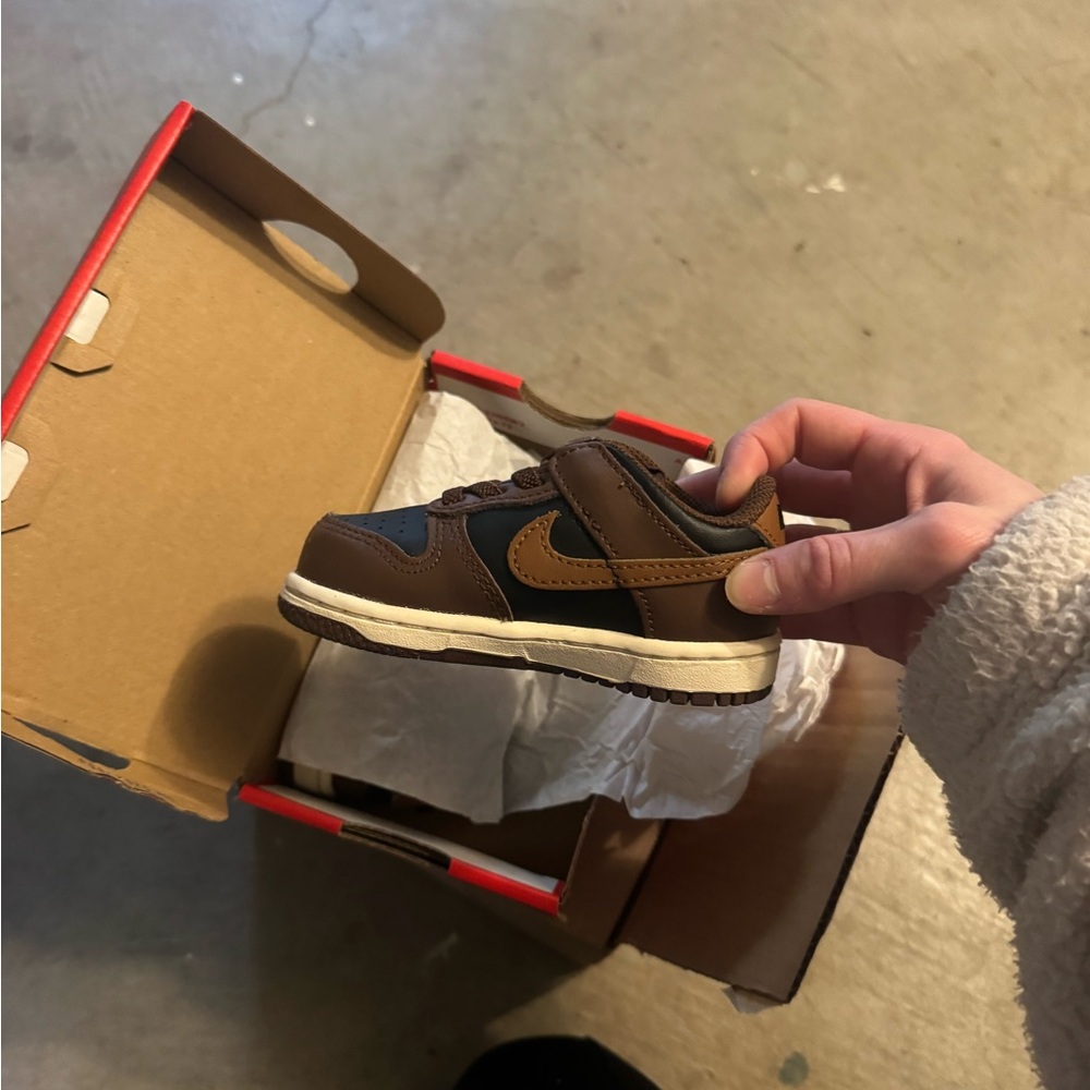 Toddler Nike Dunk Low shoes- brand new never tried on.